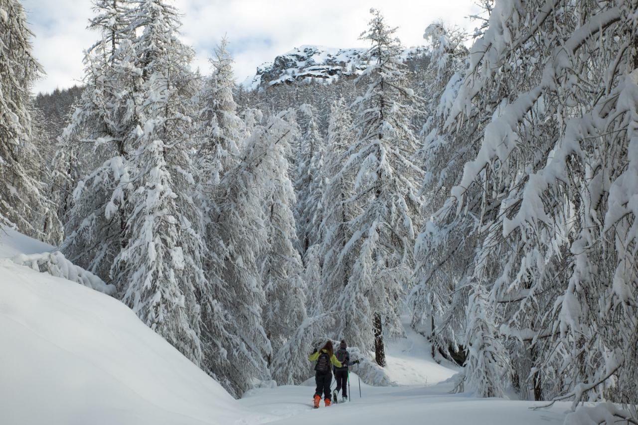 Hotel Le Clocher Champoluc Eksteriør billede
